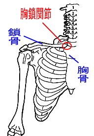 kyousa-joint