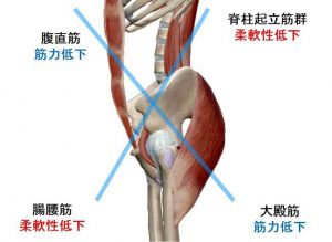 腹筋トレーニングは骨盤の後傾が重要！ | 滋賀県守山市・大阪本町の姿勢改善専門スタジオ「Be-Style（ビースタイル）」 | マンツーマン、パーソナル指導